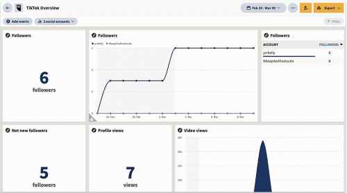 Hootsuite introducerer TikTok-integration 3 Screenshot 2022 06 13 at 15.51.31